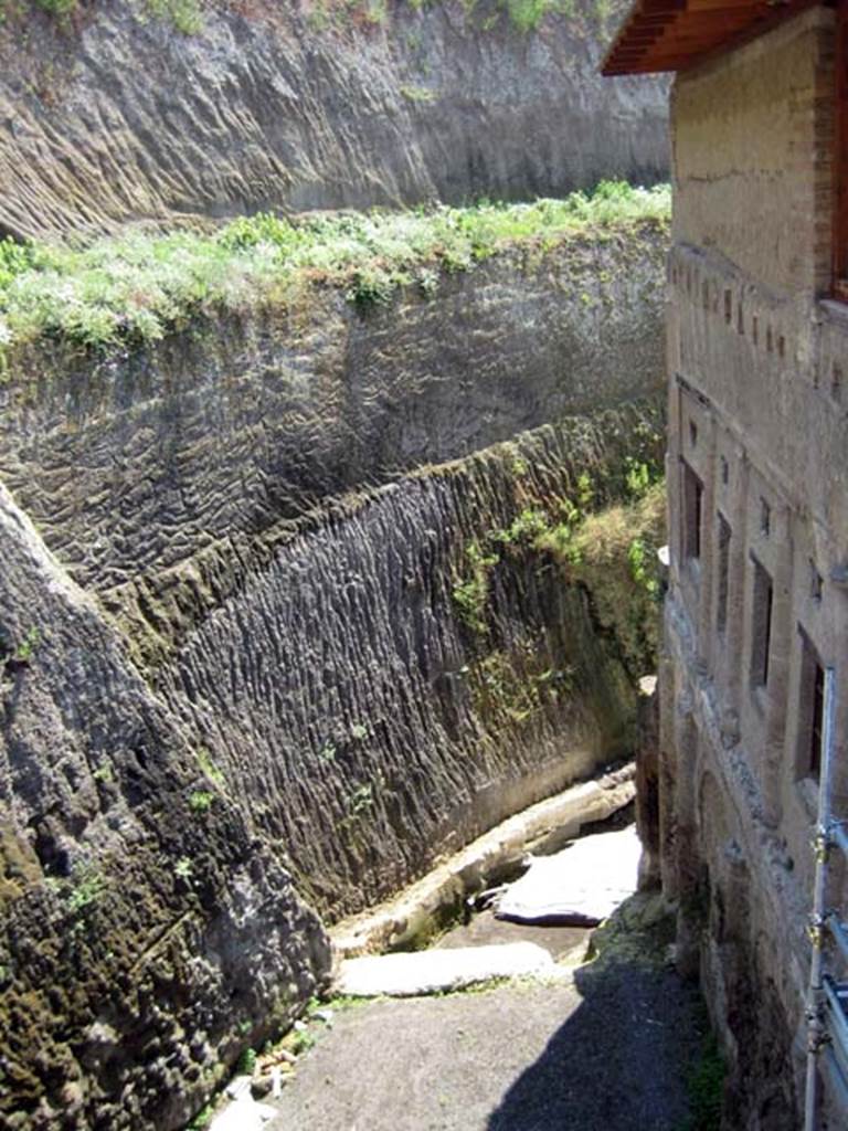 A close up of a tree
Description generated with high confidence